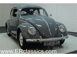 1953 Volkswagen Beetle (CC-1146398) for sale in Waalwijk, Noord-Brabant