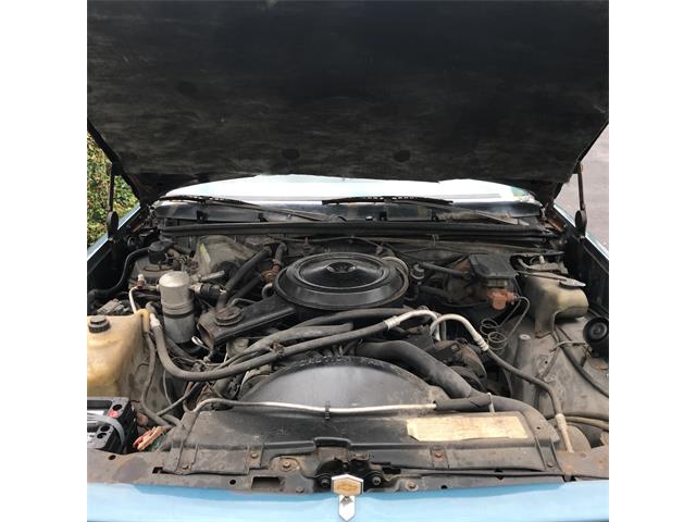 1984 Chevrolet El Camino (CC-1147354) for sale in Plantation, Florida