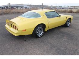 1976 Pontiac Firebird Trans Am (CC-1148412) for sale in Peoria, Arizona