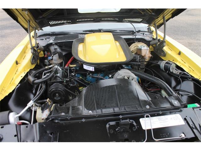 1976 Pontiac Firebird Trans Am (CC-1148412) for sale in Peoria, Arizona