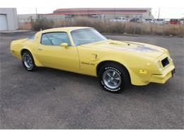 1976 Pontiac Firebird Trans Am (CC-1148412) for sale in Peoria, Arizona