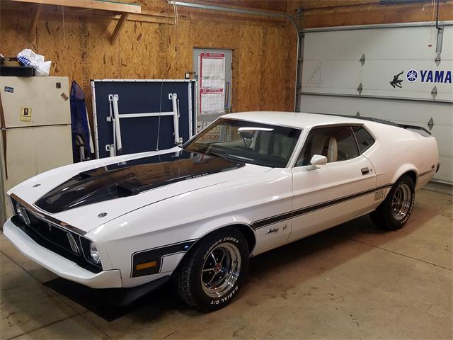 1973 Ford Mustang Cobra (CC-1149753) for sale in mentor, Ohio