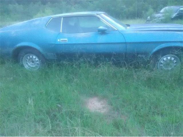 1973 Ford Mustang (CC-1149854) for sale in Cadillac, Michigan