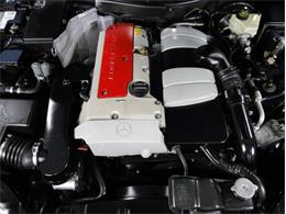 2002 Mercedes-Benz SLK-Class (CC-1149924) for sale in Palmetto, Florida