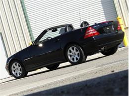 2002 Mercedes-Benz SLK-Class (CC-1149924) for sale in Palmetto, Florida