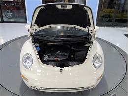 2004 Volkswagen Beetle (CC-1149954) for sale in Palmetto, Florida