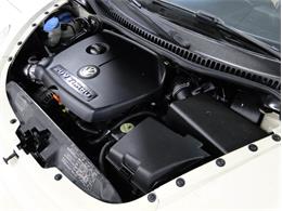 2004 Volkswagen Beetle (CC-1149954) for sale in Palmetto, Florida