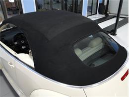 2004 Volkswagen Beetle (CC-1149954) for sale in Palmetto, Florida