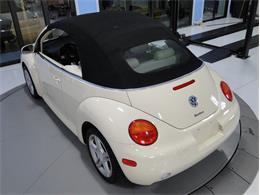 2004 Volkswagen Beetle (CC-1149954) for sale in Palmetto, Florida