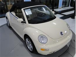 2004 Volkswagen Beetle (CC-1149954) for sale in Palmetto, Florida