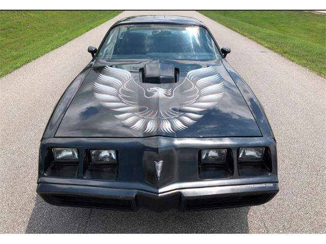 1979 Pontiac Firebird Trans Am for Sale | ClassicCars.com | CC-1151087