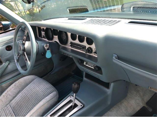 1979 Pontiac Firebird Trans Am (CC-1151114) for sale in Cadillac, Michigan