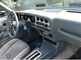 1979 Pontiac Firebird Trans Am (CC-1151114) for sale in Cadillac, Michigan