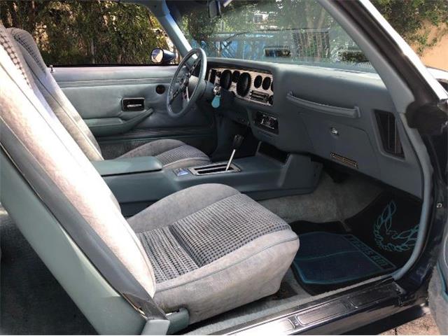 1979 Pontiac Firebird Trans Am (CC-1151114) for sale in Cadillac, Michigan