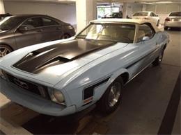 1973 Ford Mustang (CC-1151138) for sale in Cadillac, Michigan