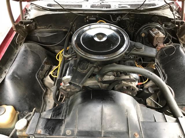 1969 Pontiac GTO (CC-1151797) for sale in Winnipeg, Manitoba