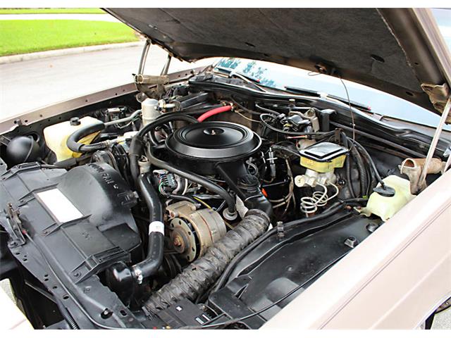 1984 Oldsmobile 88 Deluxe (CC-1152131) for sale in Lakeland, Florida