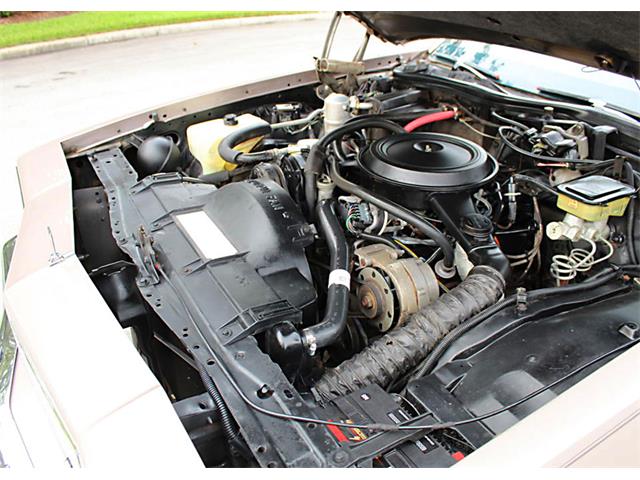 1984 Oldsmobile 88 Deluxe (CC-1152131) for sale in Lakeland, Florida