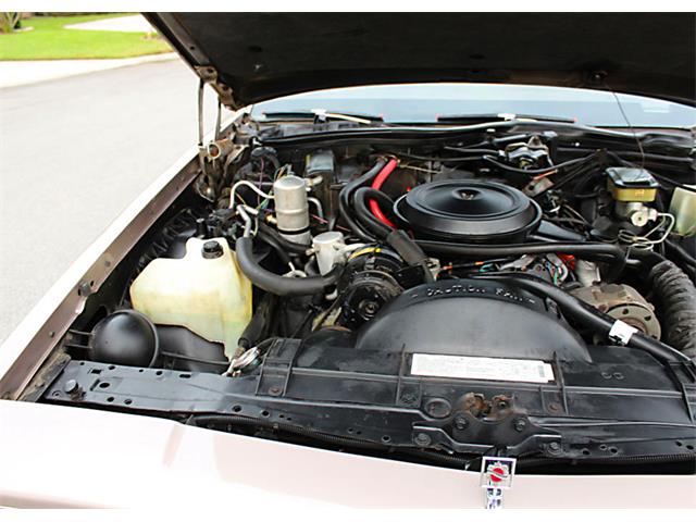 1984 Oldsmobile 88 Deluxe (CC-1152131) for sale in Lakeland, Florida