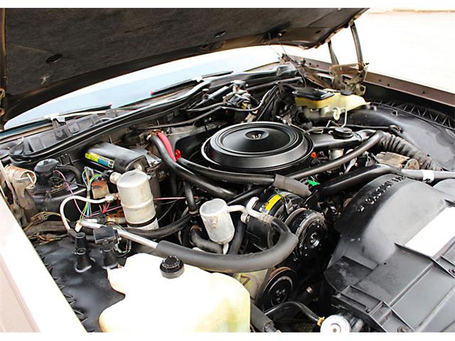 1984 Oldsmobile 88 Deluxe (CC-1152131) for sale in Lakeland, Florida