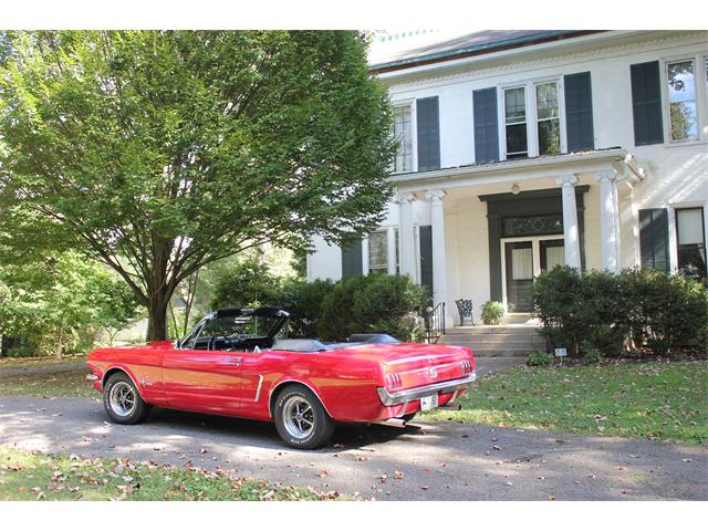 1964 Ford Mustang (CC-1152342) for sale in Paris, Kentucky