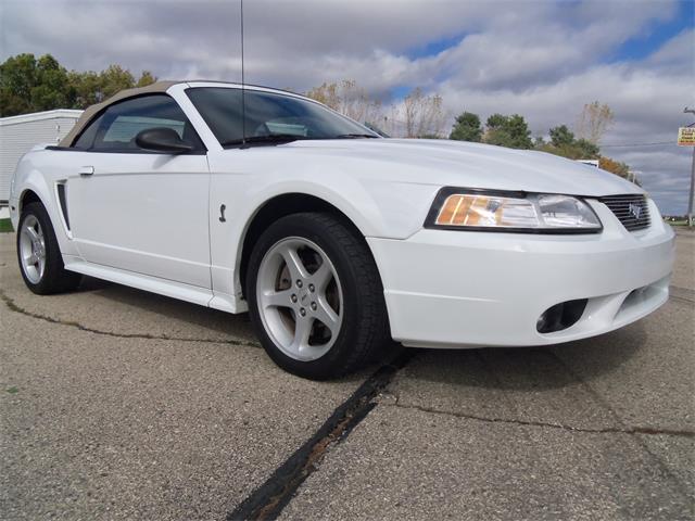 1999 Ford Mustang SVT Cobra (CC-1152663) for sale in Jefferson, Wisconsin