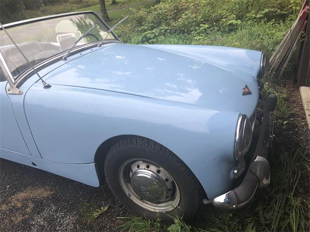 1962 Austin-Healey Sprite (CC-1152691) for sale in Skaneateles, New York
