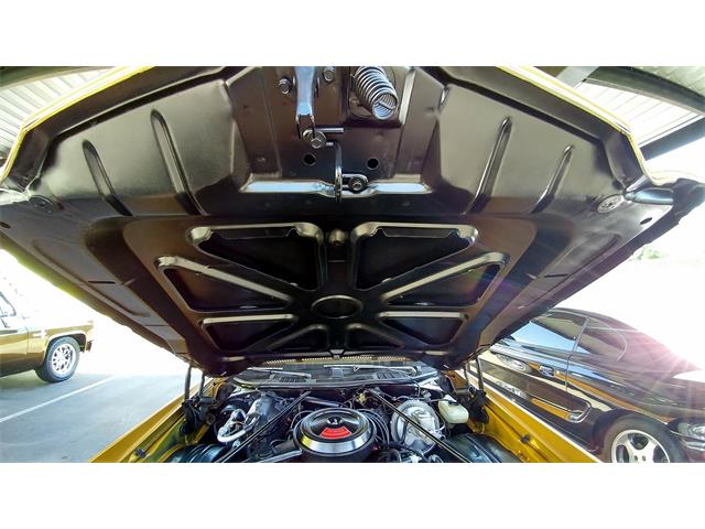 1973 Chevrolet Monte Carlo (CC-1152695) for sale in Phoenix, Arizona