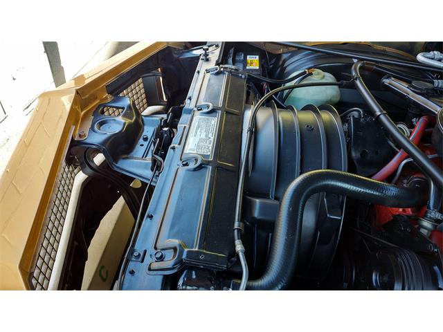 1973 Chevrolet Monte Carlo (CC-1152695) for sale in Phoenix, Arizona
