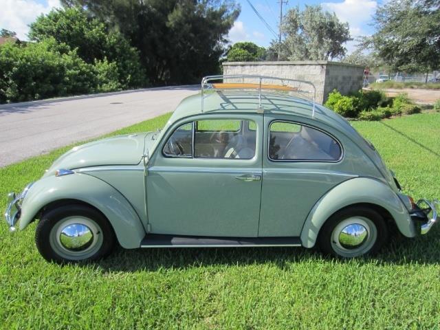 1964 Volkswagen Beetle (CC-1150303) for sale in Delray Beach, Florida