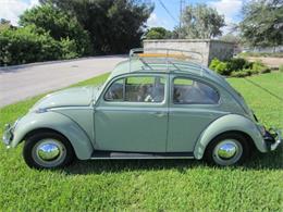 1964 Volkswagen Beetle (CC-1150303) for sale in Delray Beach, Florida