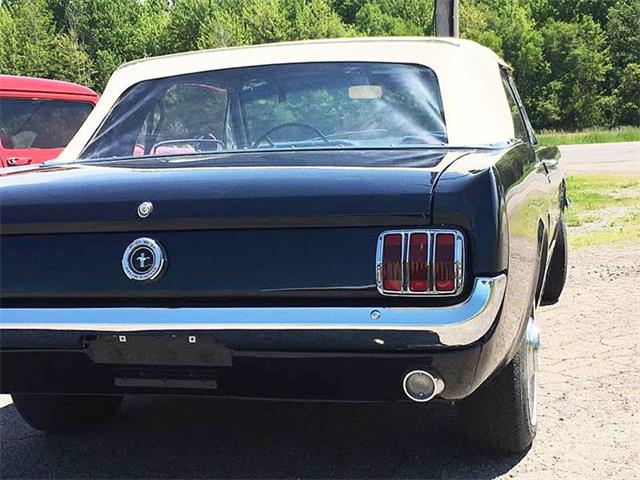 1964 Ford Mustang (CC-1153136) for sale in Malone, New York