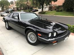 1988 Jaguar XJS (CC-1153395) for sale in Palm Springs, California