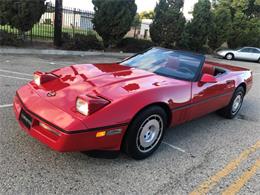 1986 Chevrolet CORVETTE INDY 500 PC (CC-1153434) for sale in Palm Springs, California