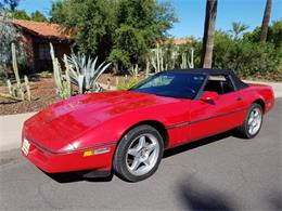 1989 Chevrolet Corvette (CC-1153461) for sale in Palm Springs, California