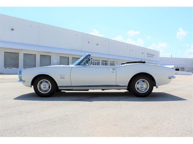 1967 Chevrolet Camaro SS (CC-1150500) for sale in Doral, Florida