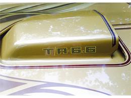 1978 Pontiac Firebird Trans Am (CC-1155133) for sale in Dallas, Texas