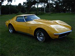 1972 Chevrolet Corvette (CC-1155302) for sale in Palmetto, Florida