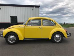 1973 Volkswagen Super Beetle (CC-1150532) for sale in Brainerd, Minnesota