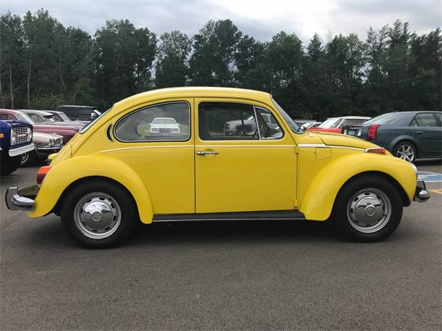 1973 Volkswagen Super Beetle (CC-1150532) for sale in Brainerd, Minnesota