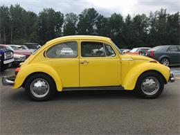 1973 Volkswagen Super Beetle (CC-1150532) for sale in Brainerd, Minnesota