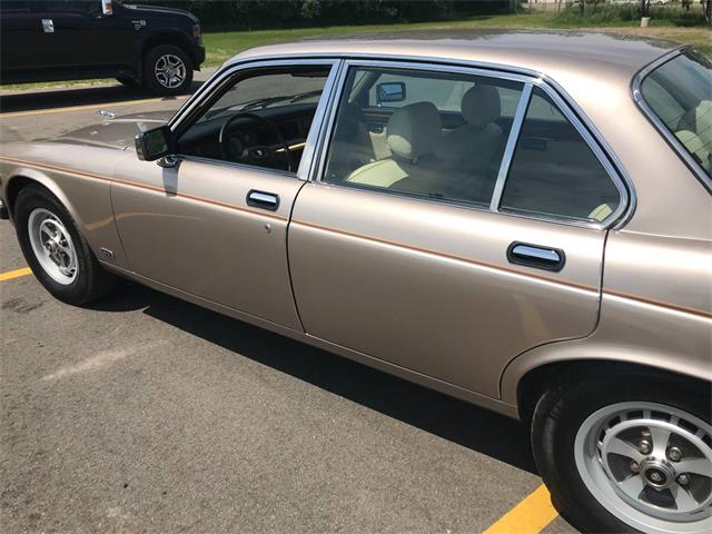 1987 Jaguar XJ6 (CC-1155496) for sale in Brainerd, Minnesota