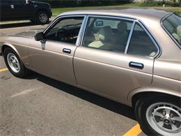 1987 Jaguar XJ6 (CC-1155496) for sale in Brainerd, Minnesota