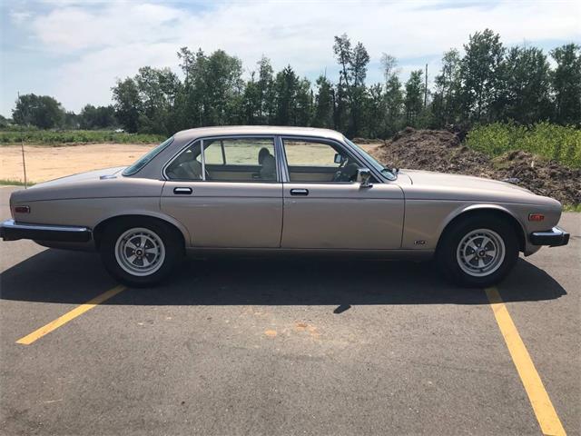 1987 Jaguar XJ6 (CC-1155496) for sale in Brainerd, Minnesota