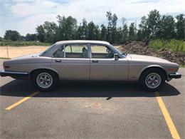 1987 Jaguar XJ6 (CC-1155496) for sale in Brainerd, Minnesota