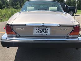 1987 Jaguar XJ6 (CC-1155496) for sale in Brainerd, Minnesota