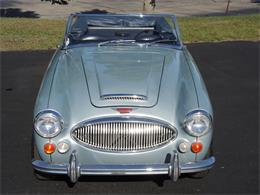 1966 Austin-Healey 3000 Mark III BJ8 (CC-1156270) for sale in Auburn Hills, Michigan