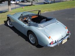 1966 Austin-Healey 3000 Mark III BJ8 (CC-1156270) for sale in Auburn Hills, Michigan