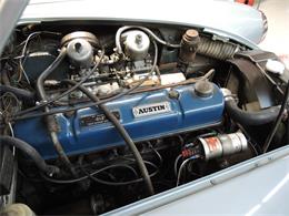 1966 Austin-Healey 3000 Mark III BJ8 (CC-1156270) for sale in Auburn Hills, Michigan