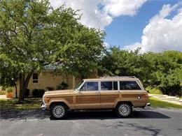 1987 Jeep Grand Wagoneer (CC-1150646) for sale in Kerrvile, Texas